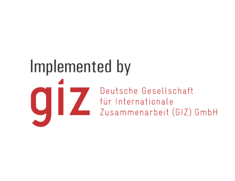 GIZ-logo