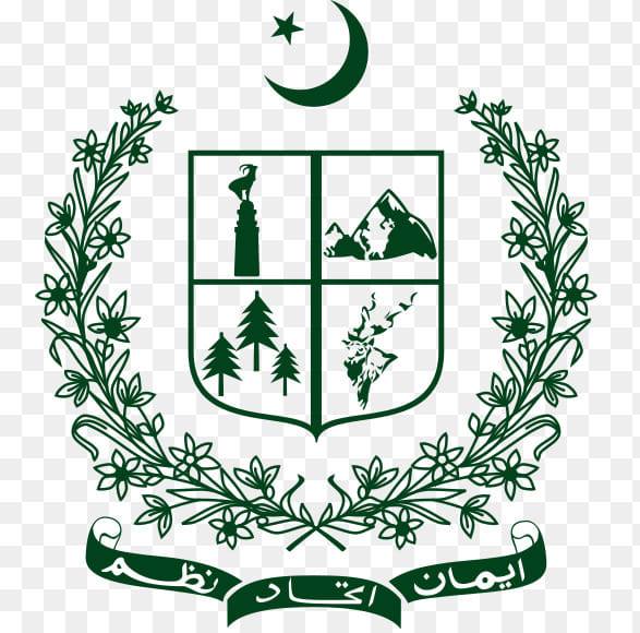 lgtin.lgpunjab.org.pk